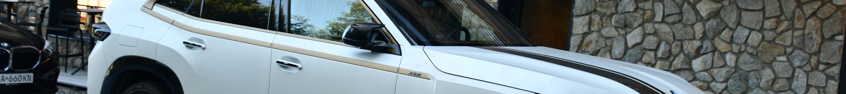 BMW XM G09