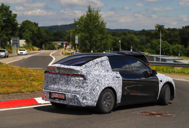 Tesla Motors Model Y L