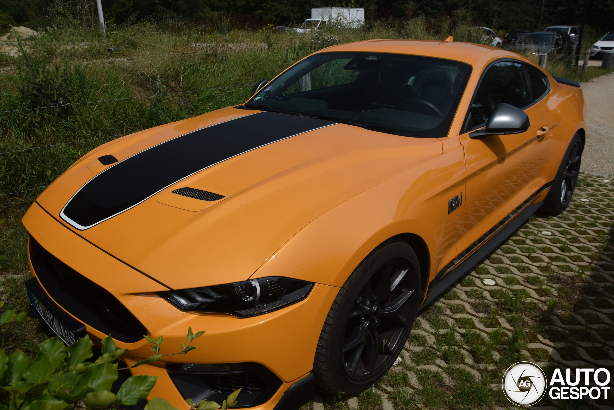 Ford Mustang Mach 1 2021