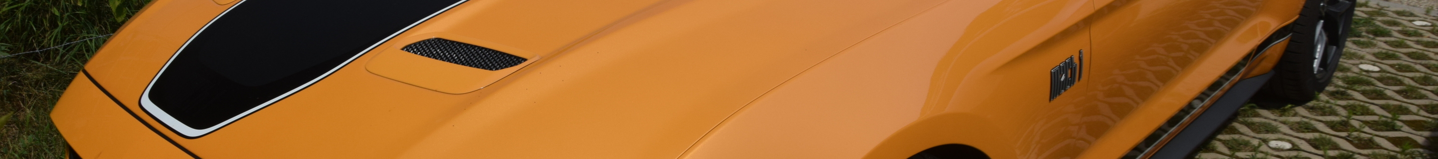 Ford Mustang Mach 1 2021