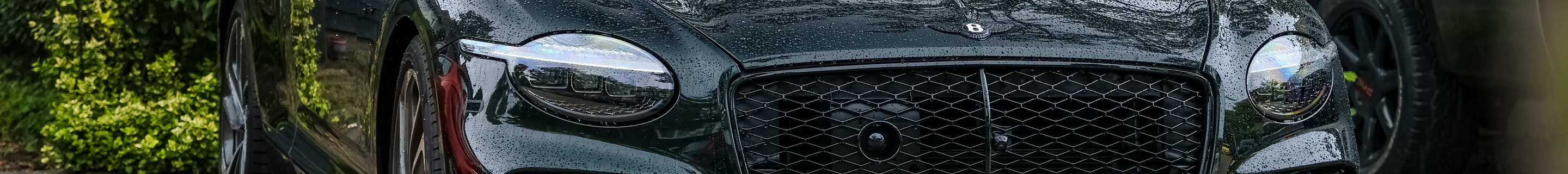 Bentley Continental GT Speed 2025