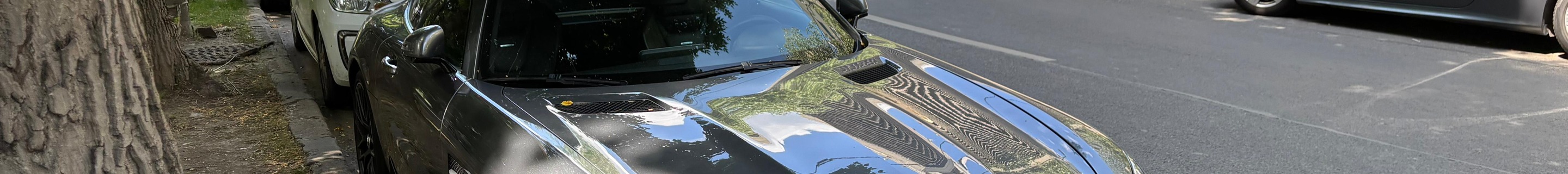 Mercedes-AMG GT S C190 2019