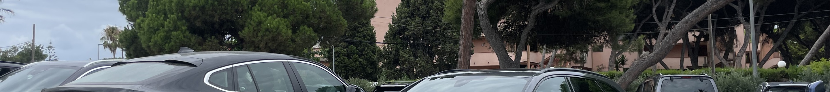 Audi RS4 Avant B9 2020