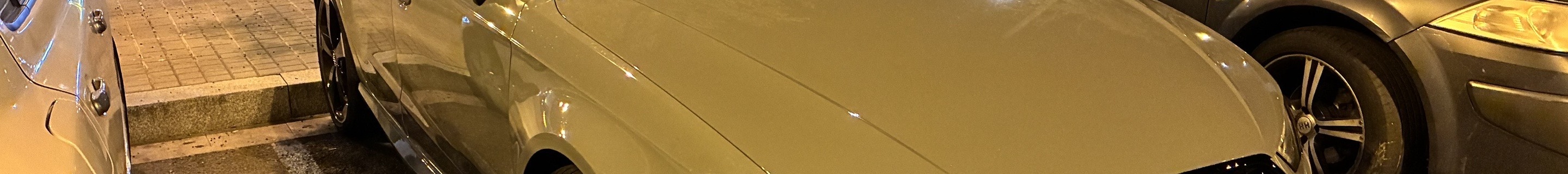 Audi RS3 Sportback 8V 2018