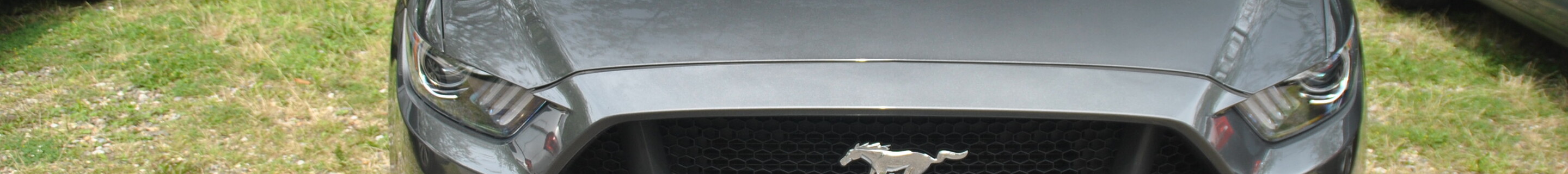Ford Mustang GT Convertible 2015