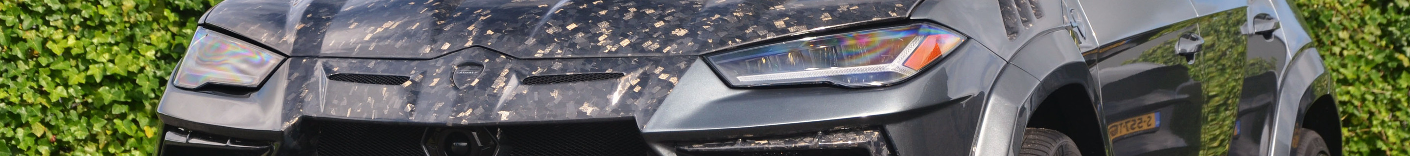 Lamborghini Urus Mansory Venatus