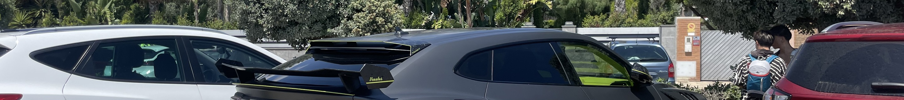 Lamborghini Urus Mansory Venatus EVO