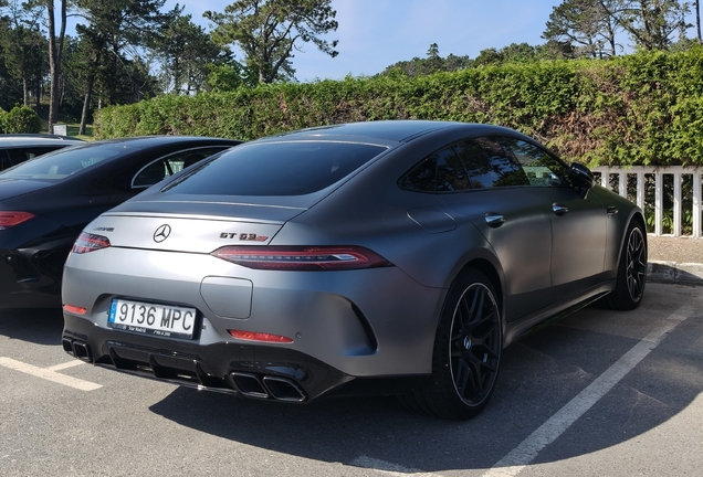 Mercedes-AMG GT 63 S E-Performance X290 2024