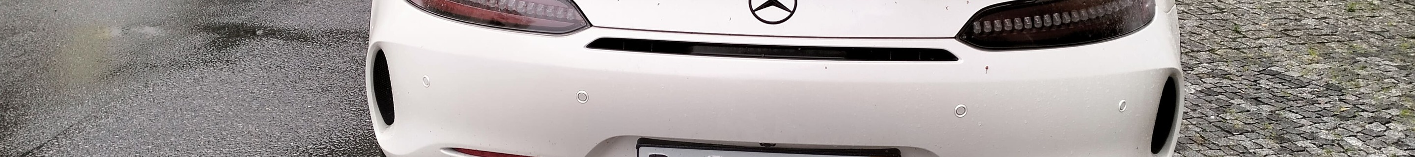 Mercedes-AMG GT C Roadster R190 2019