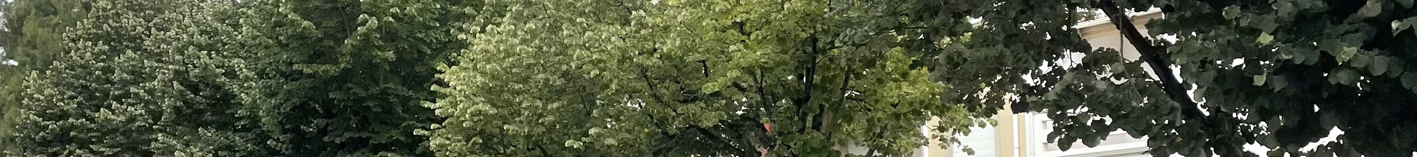 Bentley Continental GT V8