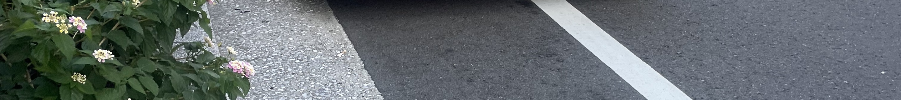 Lamborghini Countach 25th Anniversary