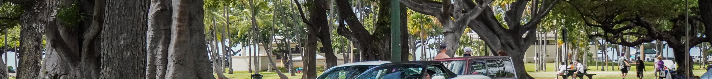 Chevrolet Corvette C5 Convertible