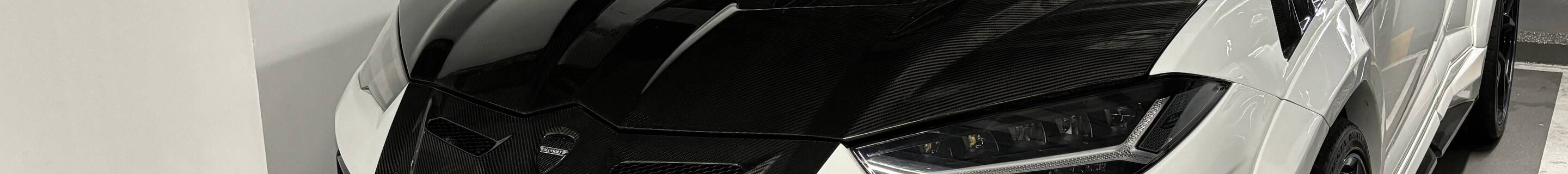 Lamborghini Urus Mansory Venatus