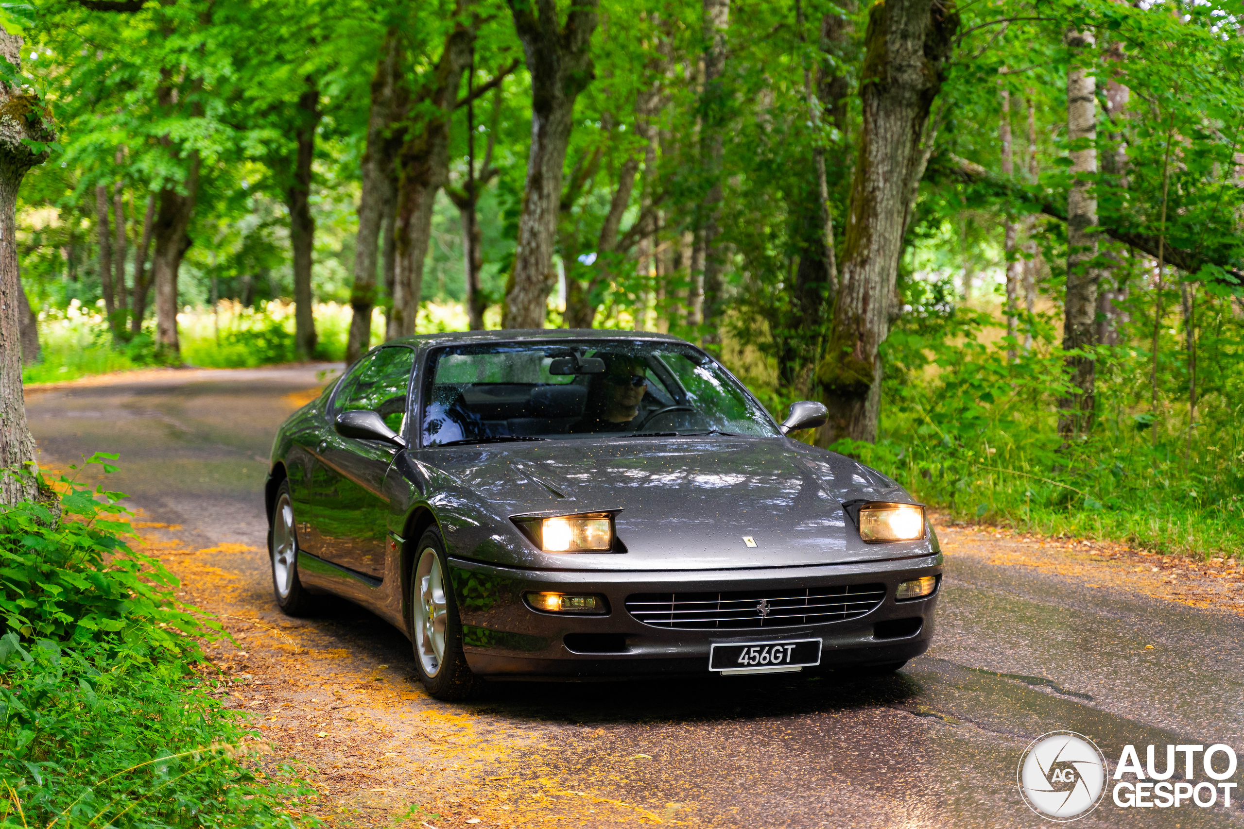 Ferrari 456 GT is plots prachtig oud