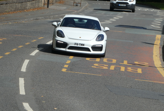 Porsche 981 Cayman GT4