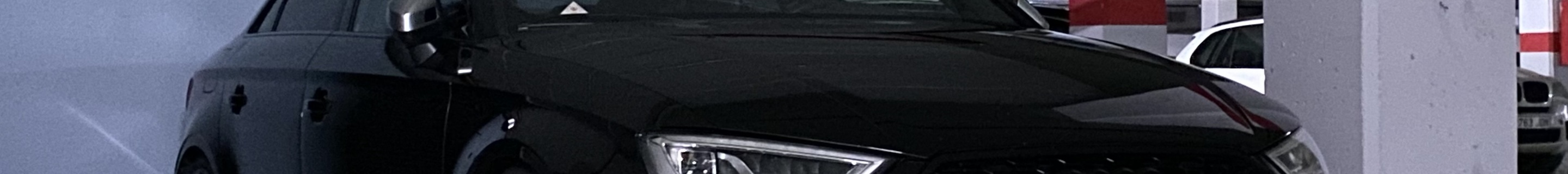 Audi RS3 Sedan 8V