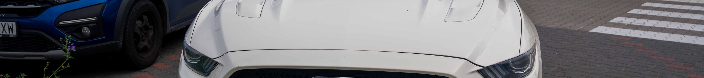 Ford Mustang GT 50th Anniversary Edition