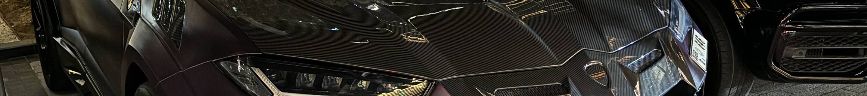 Lamborghini Urus Mansory Venatus