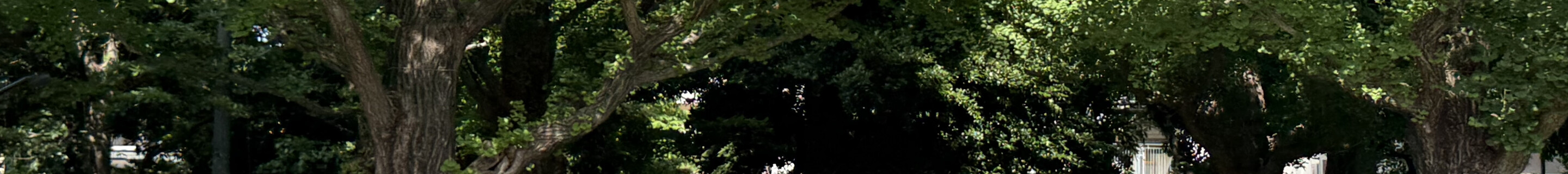 Mitsuoka BUBU 356 Speedster