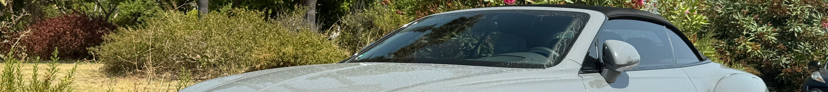 Bentley Continental GTC Speed 2025