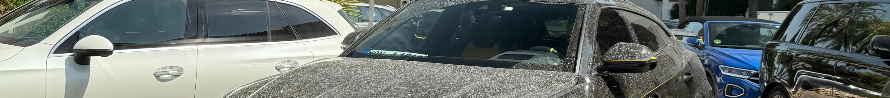 Lamborghini Urus Mansory Venatus