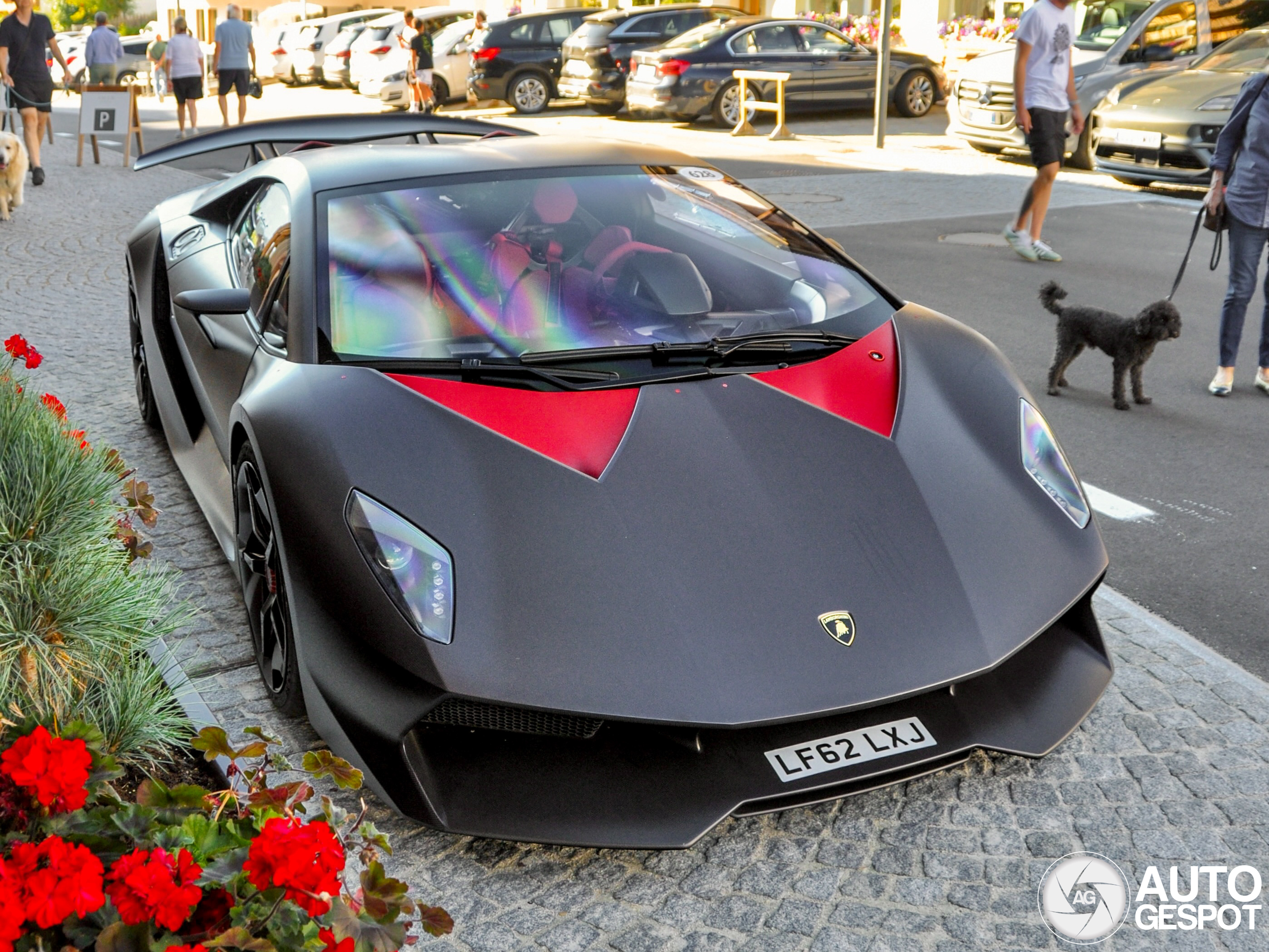 This is the winner of the Spot of the year 2025!