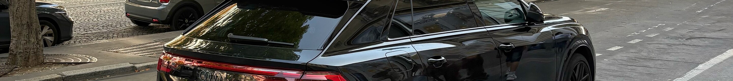 Audi RS Q8 2024