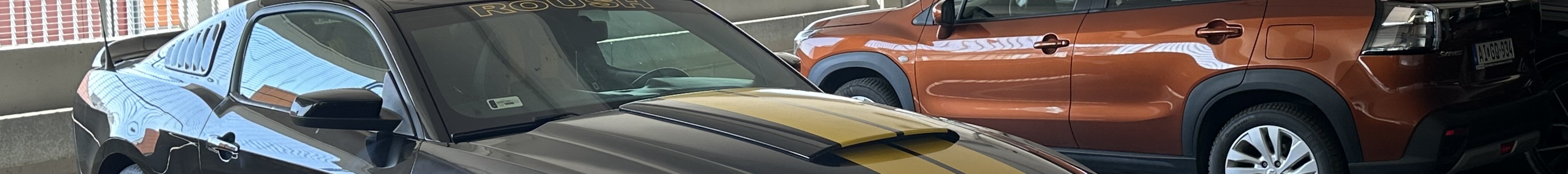 Ford Mustang Roush Special MRT