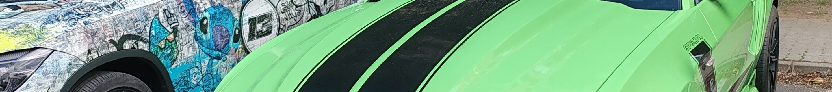 Ford Mustang Roush Special MRT