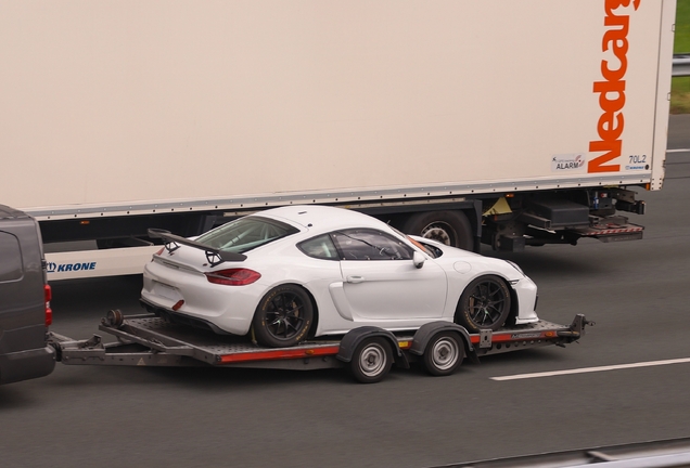 Porsche 981 Cayman GT4 Clubsport