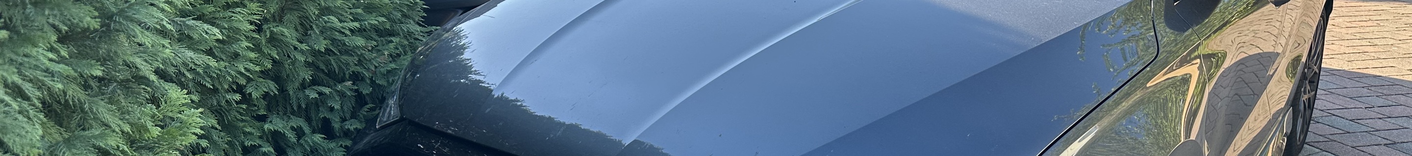 Audi RS3 Sportback 8Y 2025