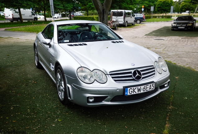 Mercedes-Benz SL 65 AMG R230 2006