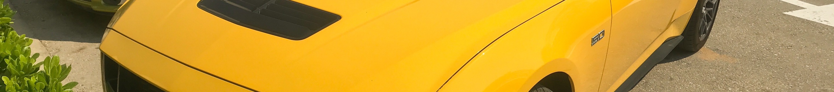 Ford Mustang GT 2024