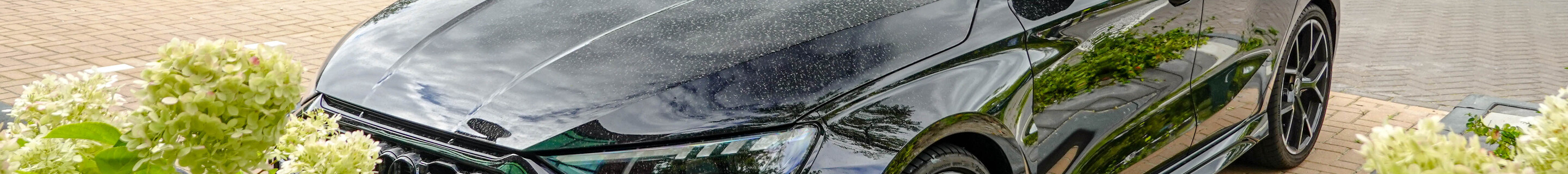 Audi RS3 Sportback 8Y