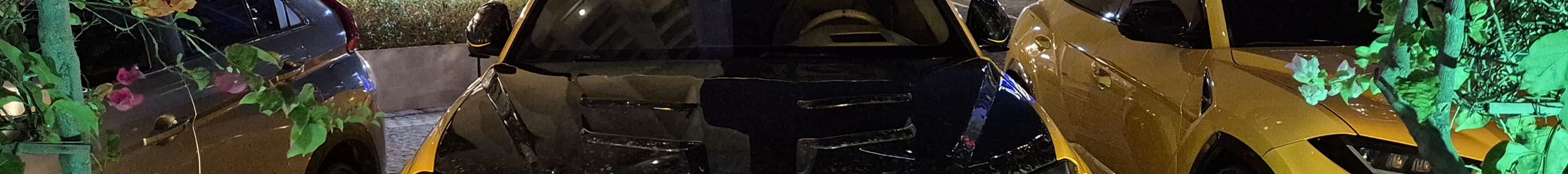 Lamborghini Urus Mansory Venatus