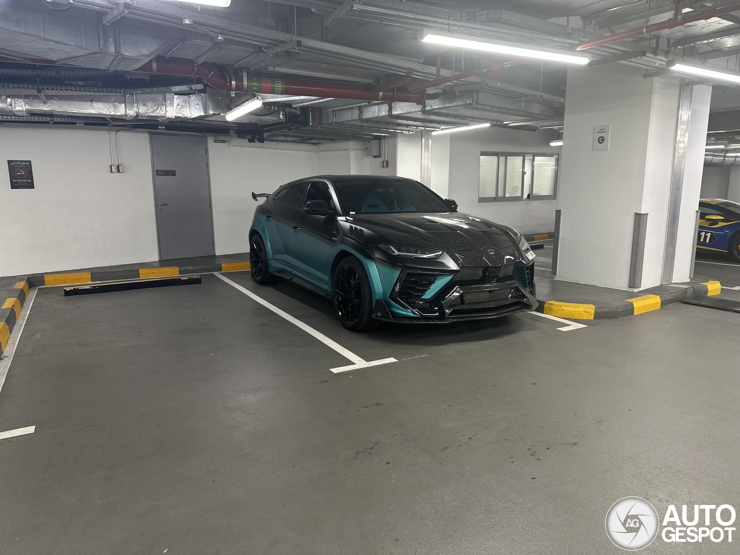 Lamborghini Urus Mansory Venatus