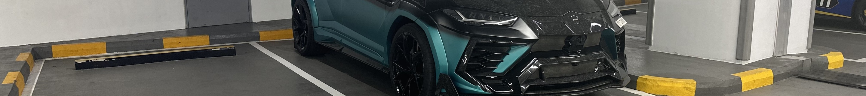 Lamborghini Urus Mansory Venatus