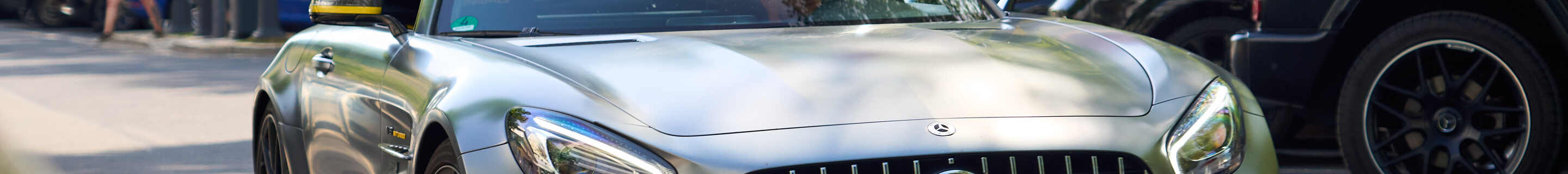 Mercedes-AMG GT R C190 Domanig