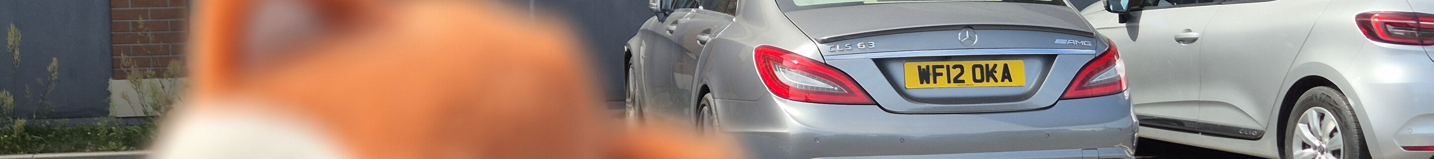 Mercedes-Benz CLS 63 AMG C218