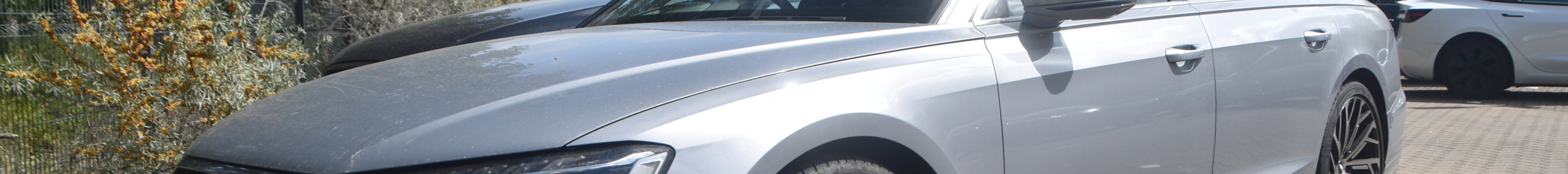 Audi S8 D5 2022