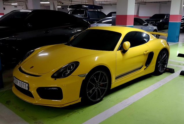 Porsche 981 Cayman S