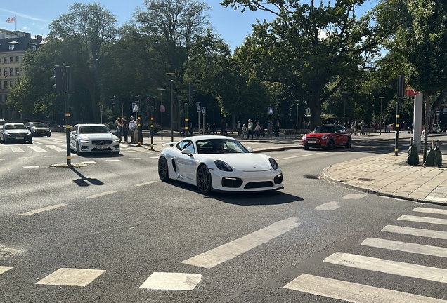 Porsche 981 Cayman GT4