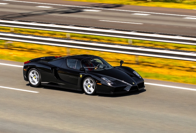 Ferrari Enzo Ferrari