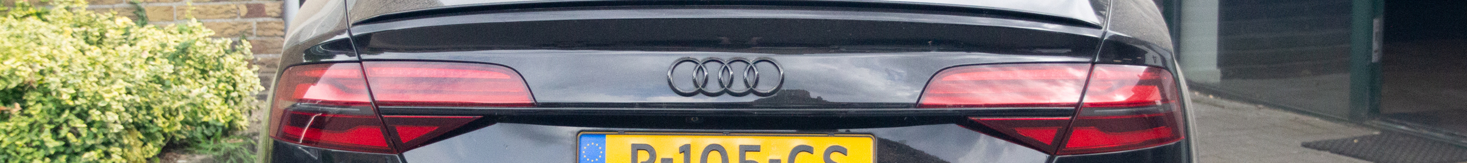 Audi S8 D4 Plus