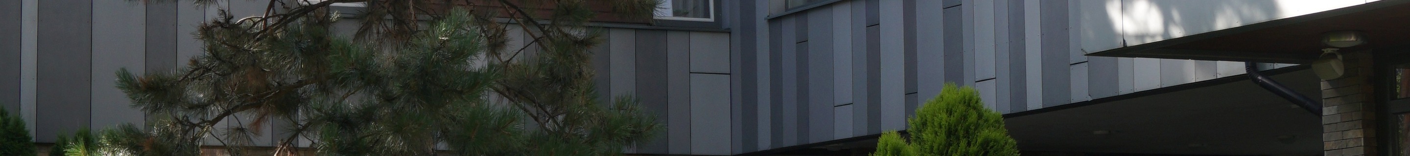 Mercedes-AMG GT 63 S X290 2022