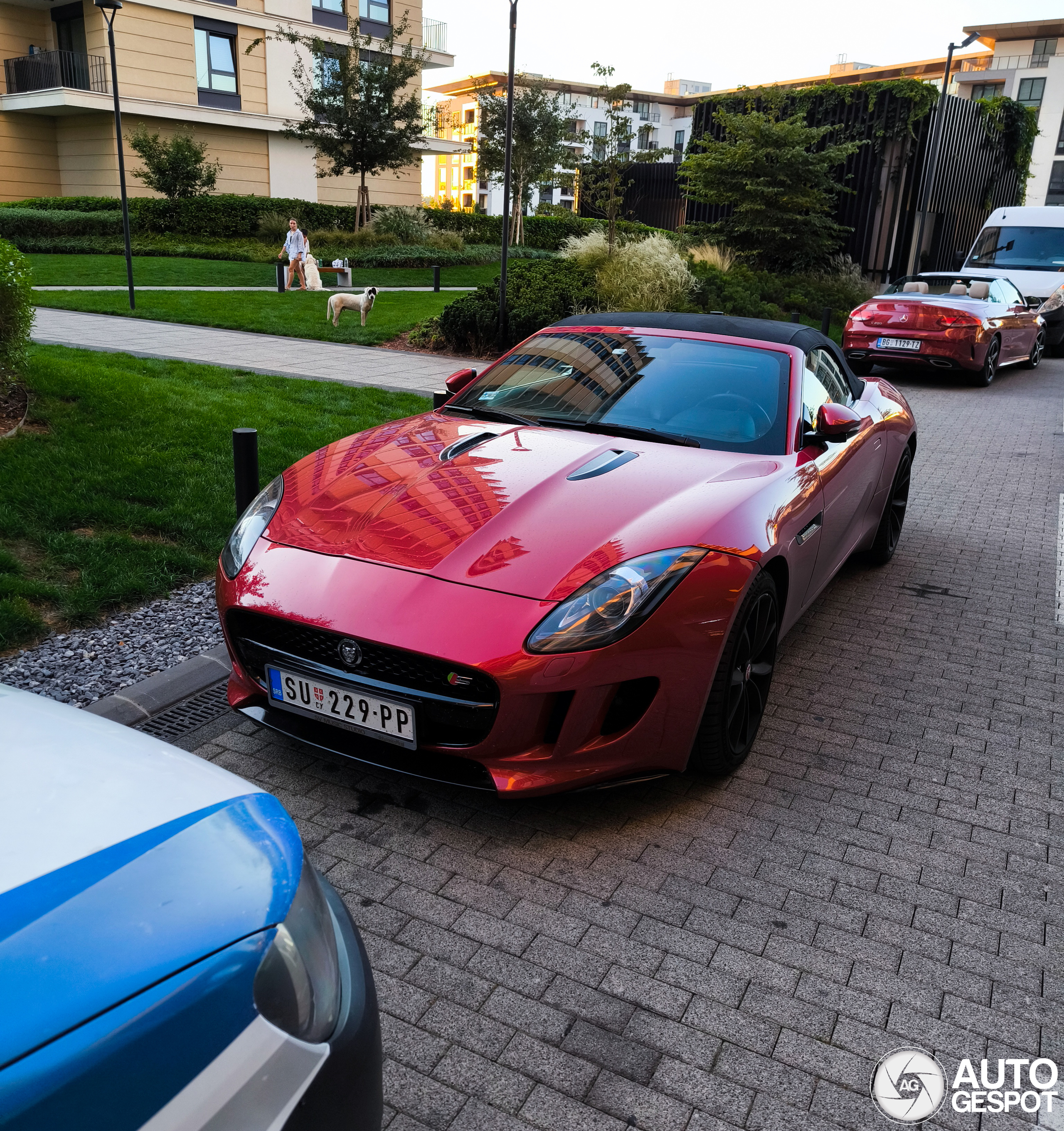 Jaguar F-TYPE S Convertible