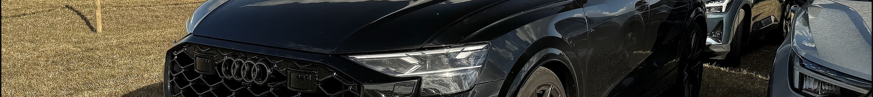Audi RS Q8 2024