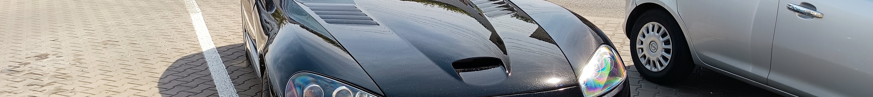 Dodge Viper SRT-10 Roadster Black Mamba Edition