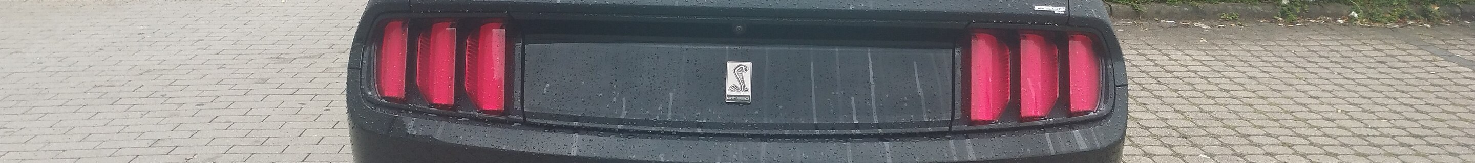 Ford Mustang Shelby GT350 2015