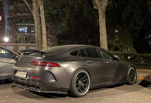 Mercedes-AMG GT 63 S E-Performance X290 2024